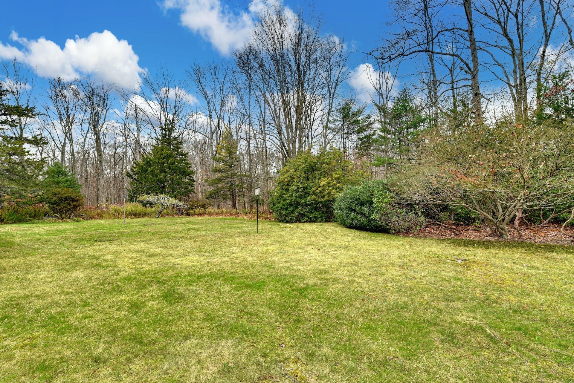 113 Logan Road New Canaan, CT 06840 - Photo 25 of 27 a view of a yard with an trees