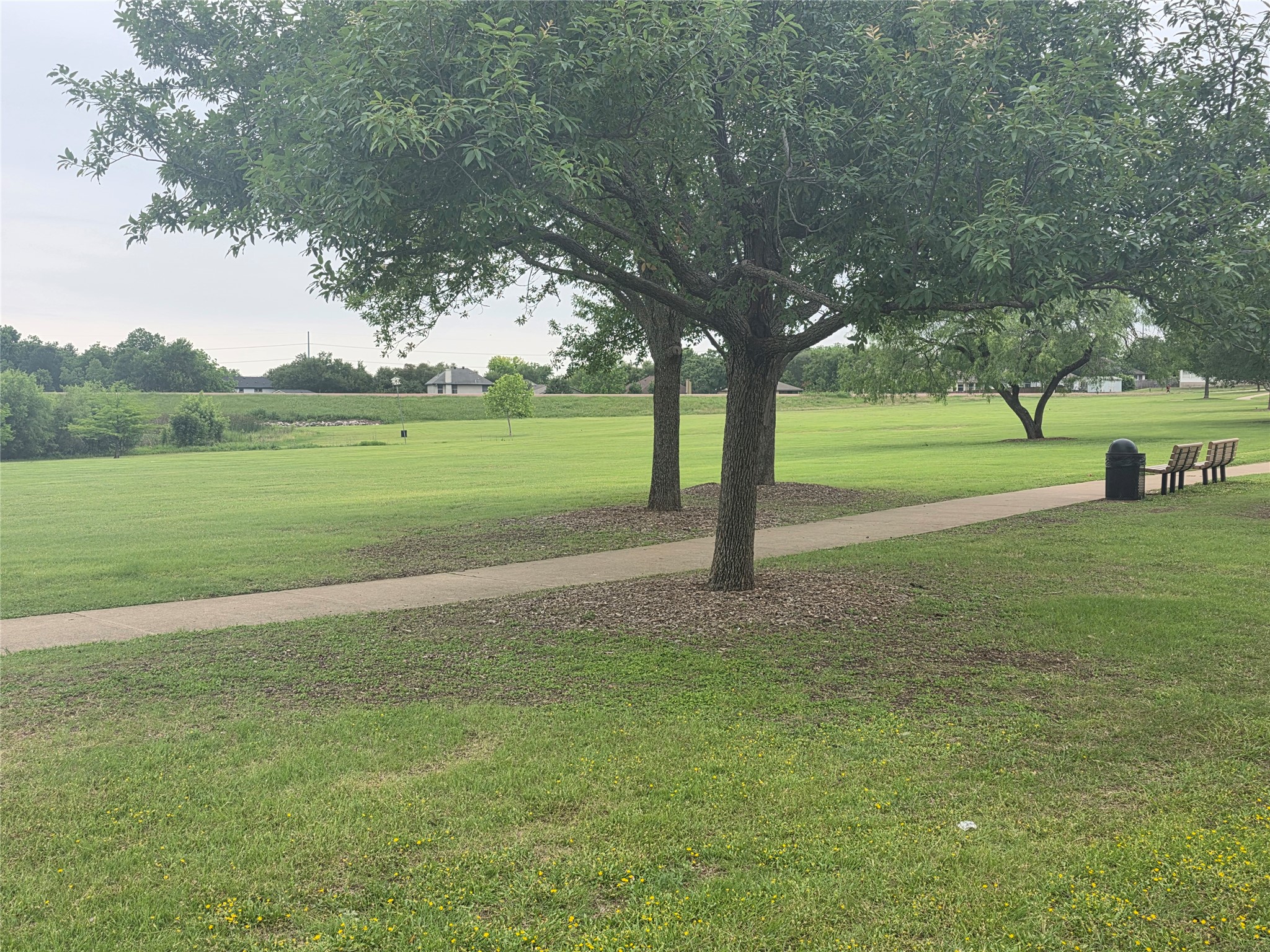 1353 Lakeside Loop Round Rock, TX 78665 - Photo 21 of 21