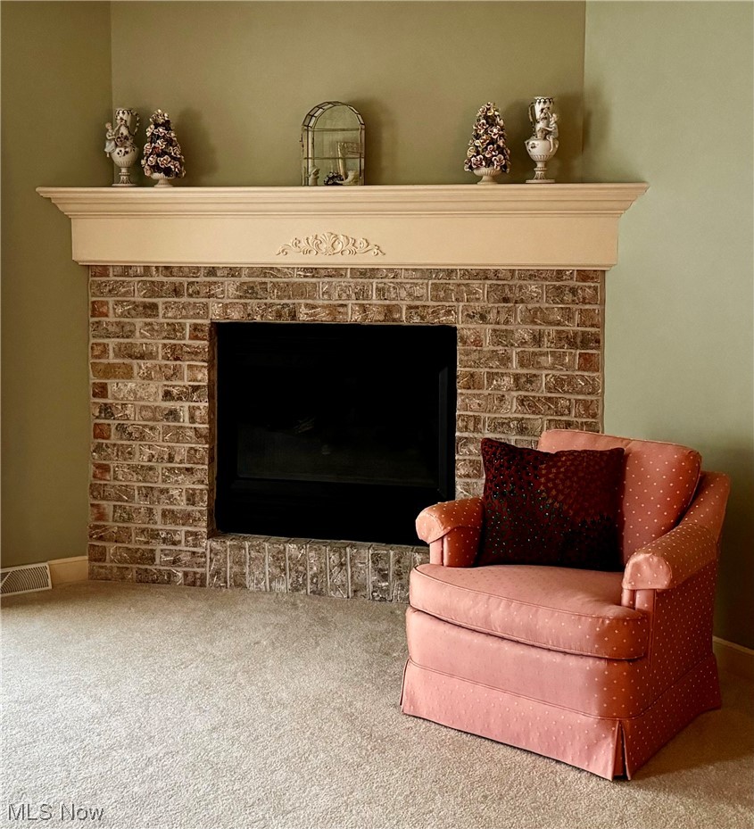 183 Mathews Road, Unit A Youngstown, OH 44512 - Photo 13 of 32 Sitting room with a fireplace and carpet floors