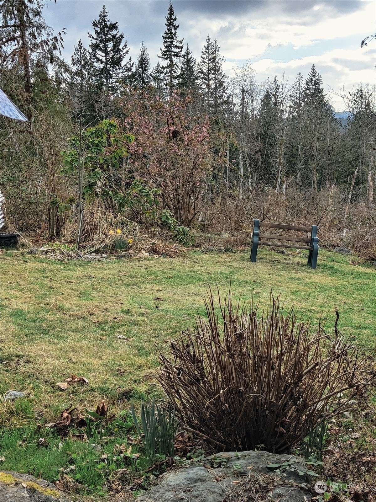 18142 Peter Burns Road Mount Vernon, WA 98274 - Photo 33 of 39 a view of a garden with a bench