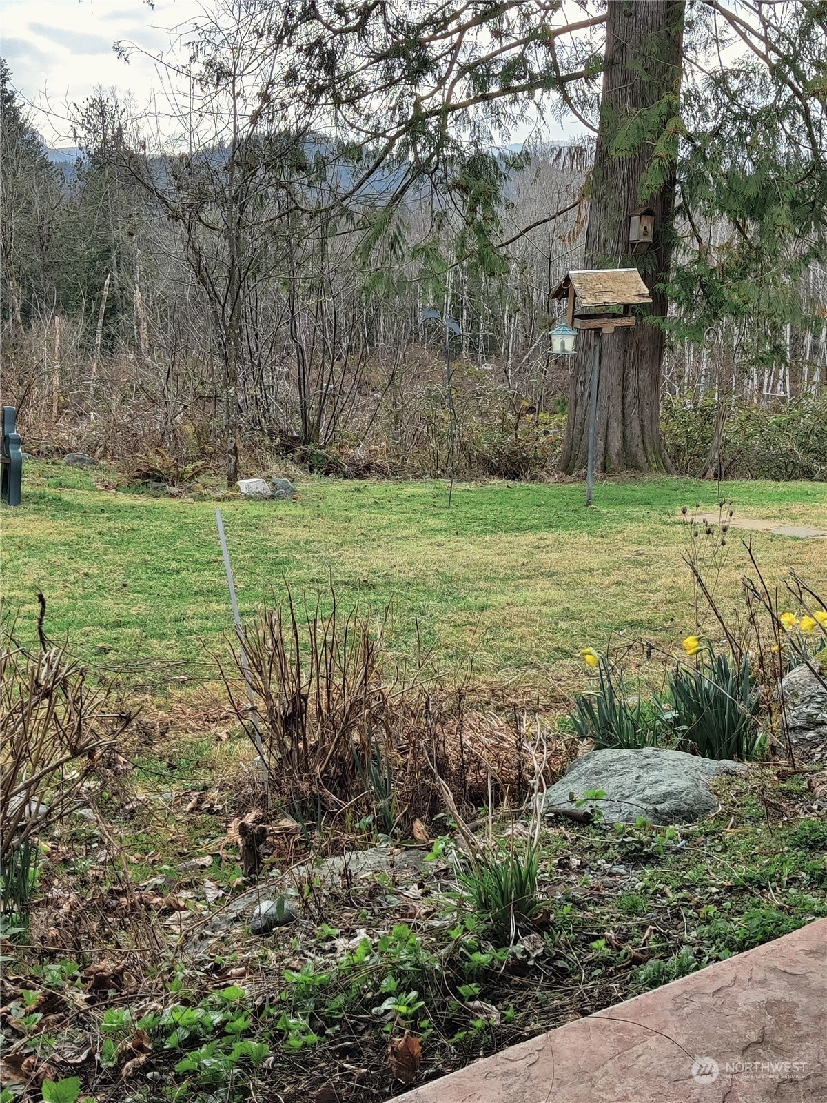 18142 Peter Burns Road Mount Vernon, WA 98274 - Photo 34 of 39 a view of a garden with large trees