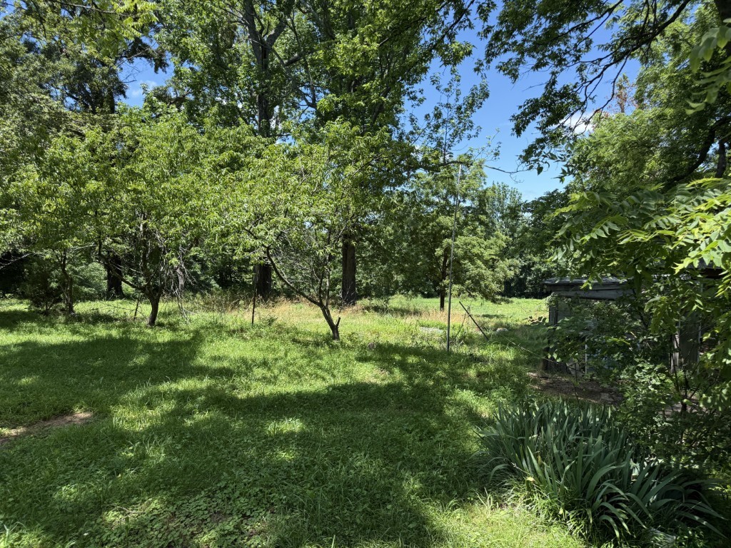 4903 Somerville Road Cross Plains, TN 37049 - Photo 21 of 23