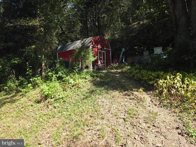 a view of a backyard