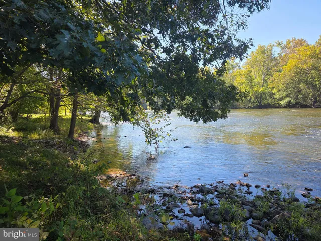 a view of lake view with lots of trees