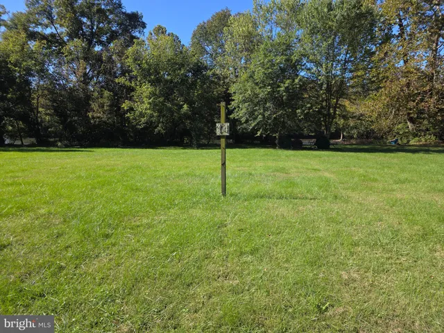 a view of a field of grass and trees