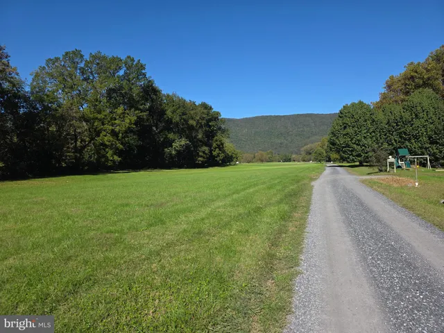 a view of a garden with a building in the background