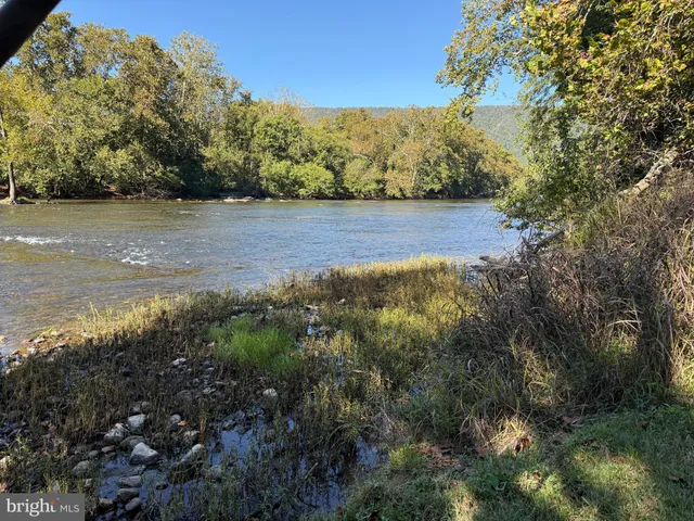 a view of a field with a tree in the background