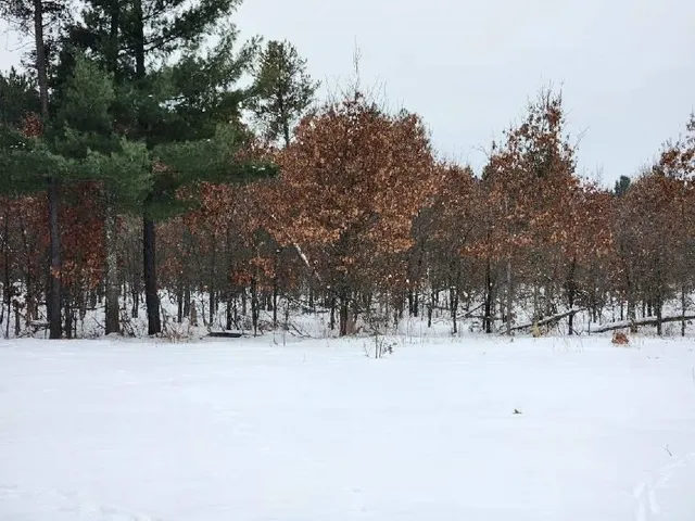 $155,000 | 917 Blackhawk Drive, Friendship, WI 53934