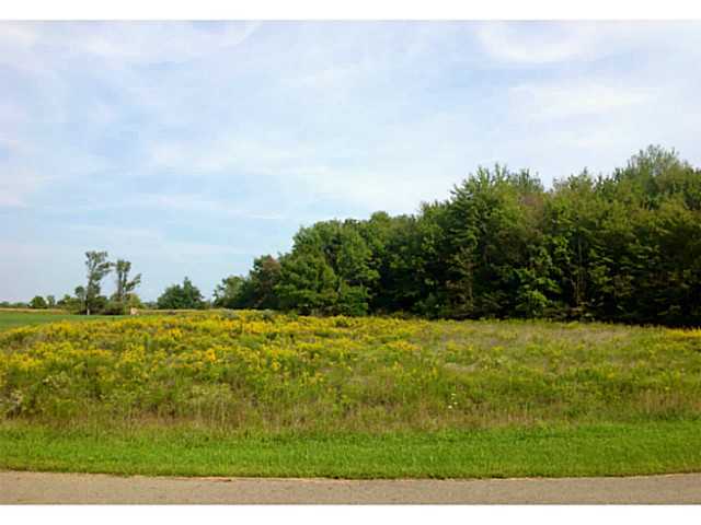 109 Dutch Ridge Way, Unit LOT 3 Johnstown, OH 43031 - Photo 23 of 24