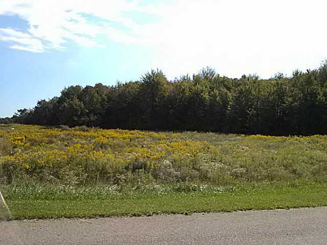 109 Dutch Ridge Way, Unit LOT 3 Johnstown, OH 43031 - Photo 9 of 24