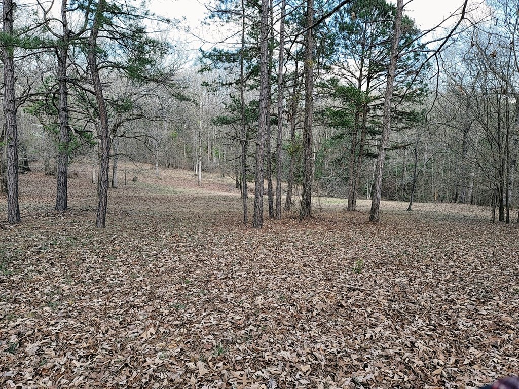 11 Copperhead Road Seale, AL 36875 - Photo 4 of 51 Gallery Image 4