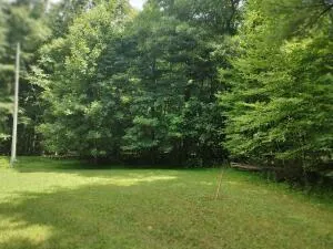 a view of yard