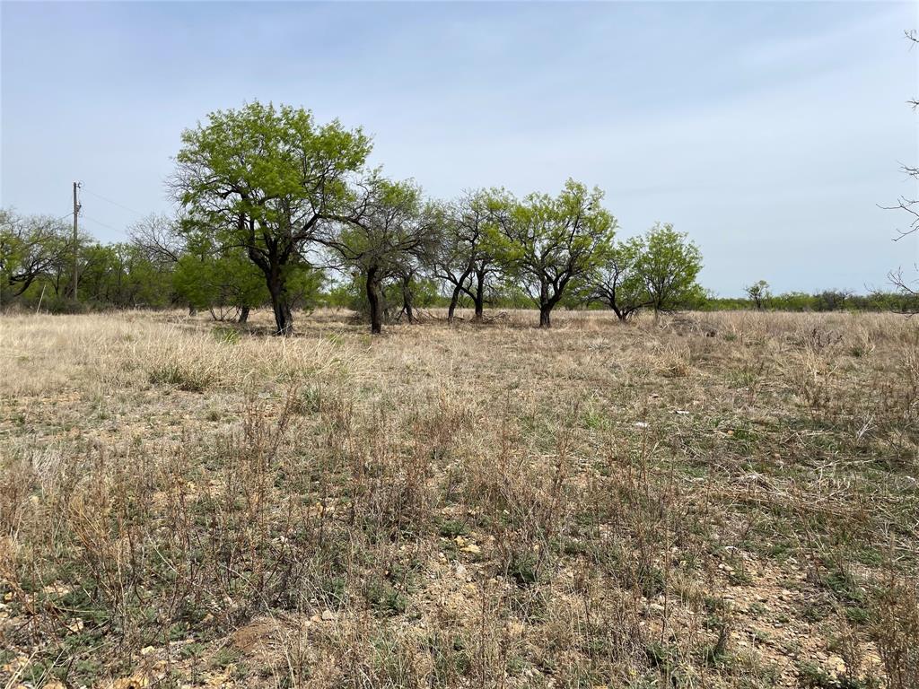 6 Albany Tx 76424 Breckenridge, TX 76424 - Photo 14 of 35 a view of lake and trees