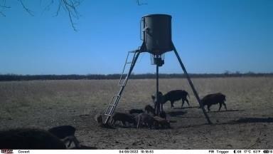 6 Albany Tx 76424 Breckenridge, TX 76424 - Photo 33 of 35