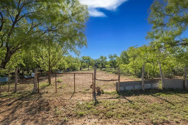 a view of a bench in the backyard