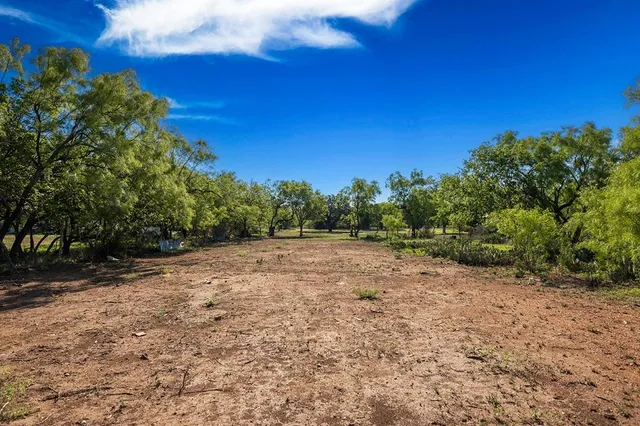 a view of a yard with trees