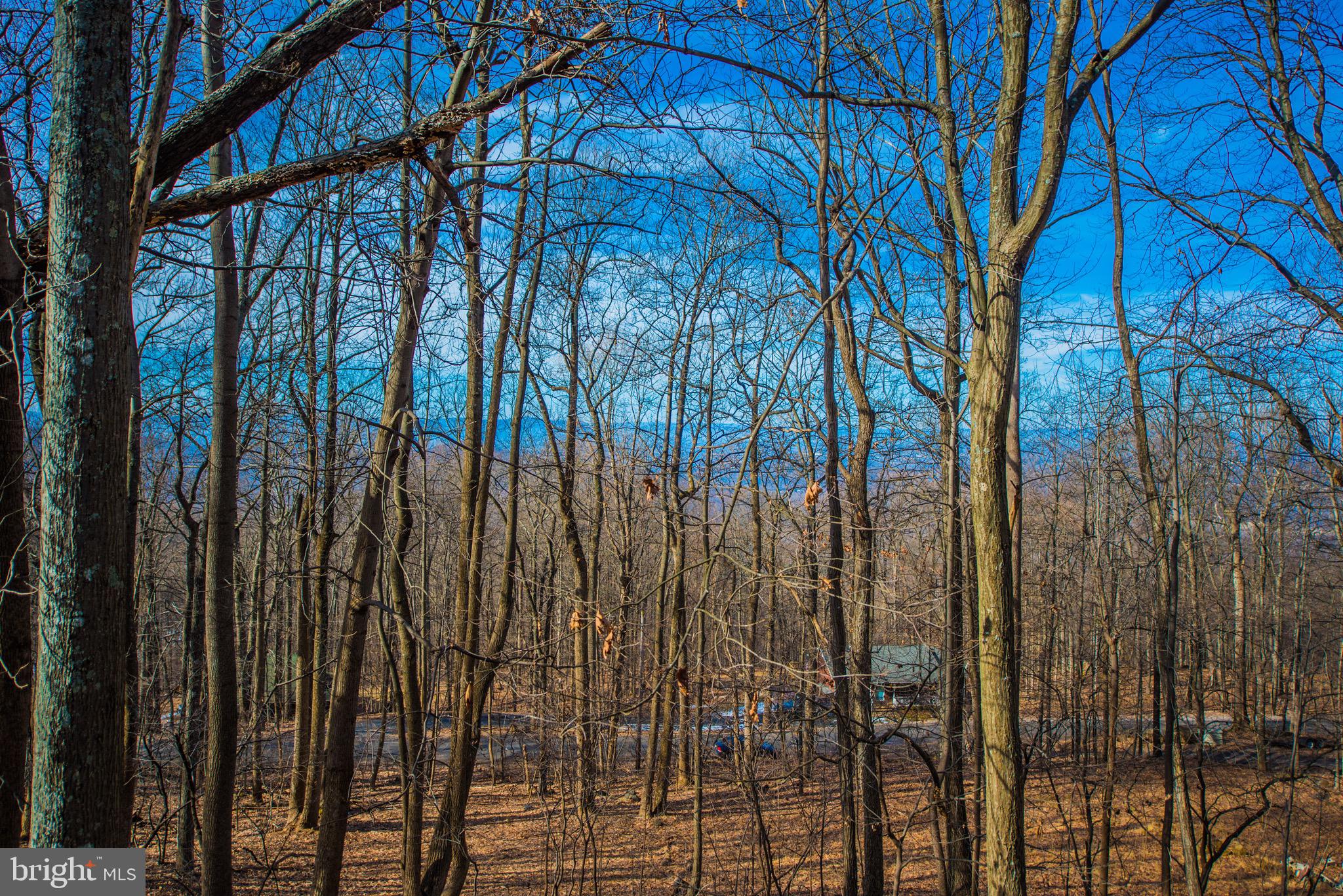224 Doom Peak Road Linden, VA 22642 - Photo 146 of 150 BONUS PHOTO - Seasonal View from Front Porch