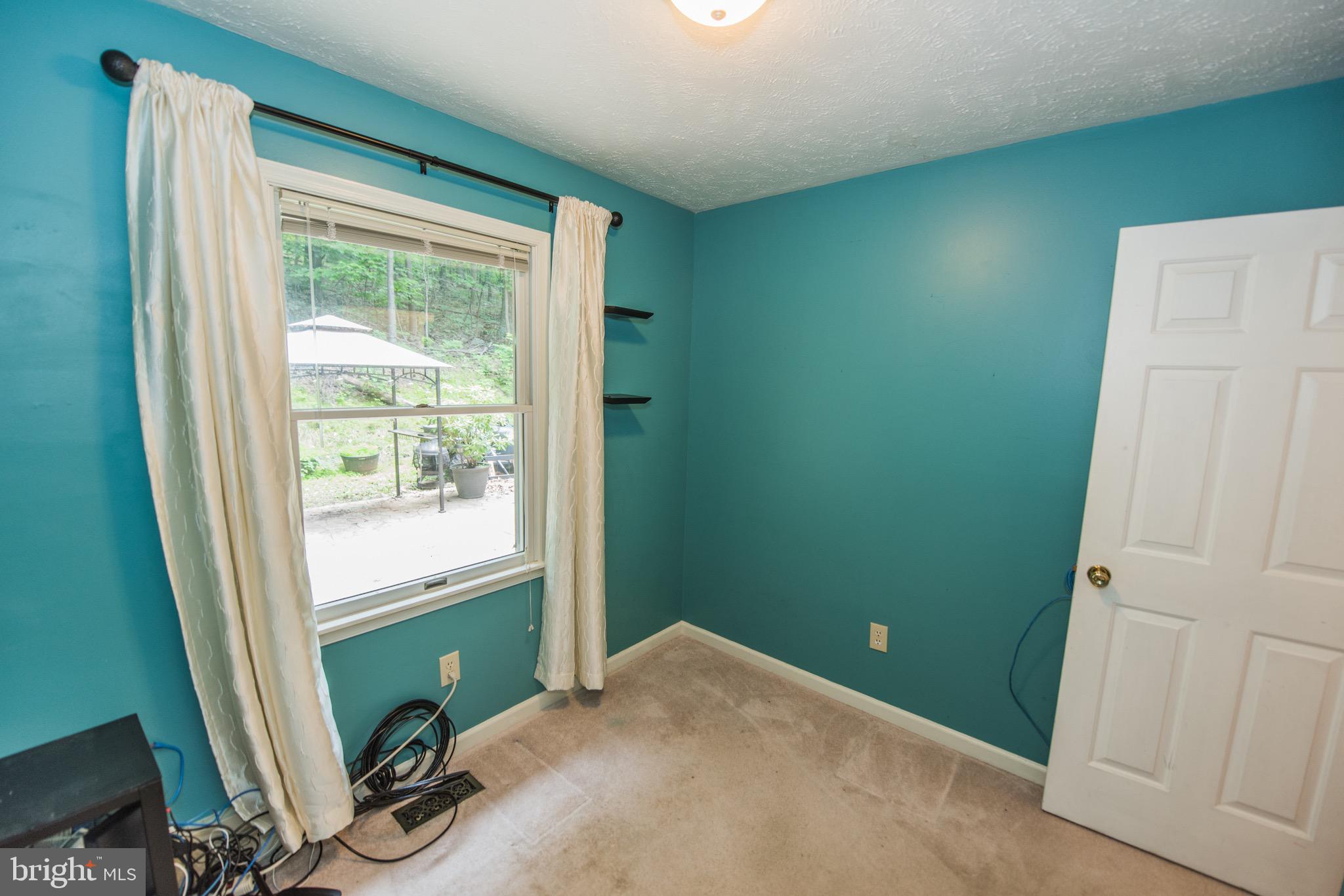 224 Doom Peak Road Linden, VA 22642 - Photo 16 of 150