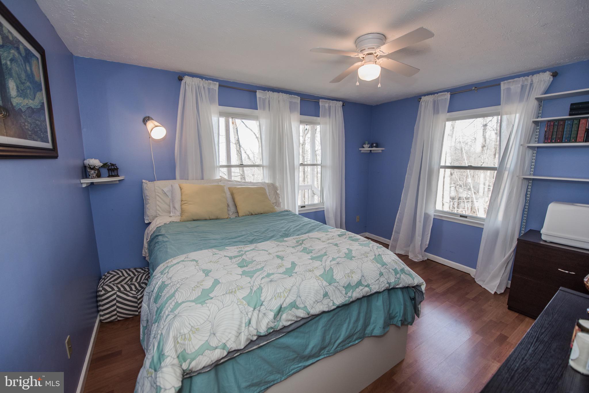 224 Doom Peak Road Linden, VA 22642 - Photo 18 of 150 BONUS PHOTO - Main Level - Bedroom #2