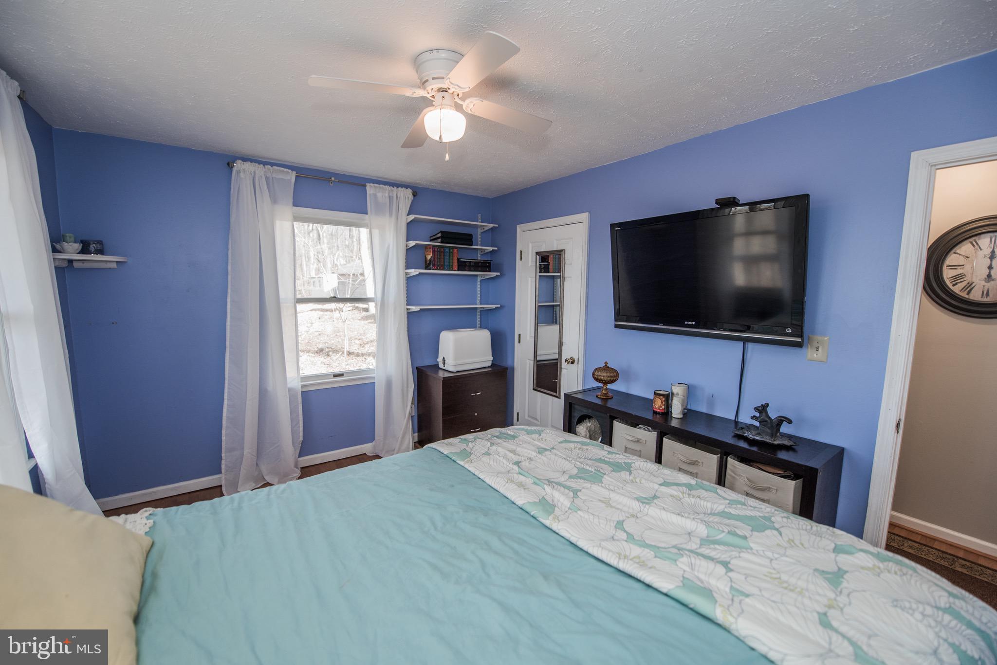 224 Doom Peak Road Linden, VA 22642 - Photo 19 of 150 BONUS PHOTO - Main Level - Bedroom #2