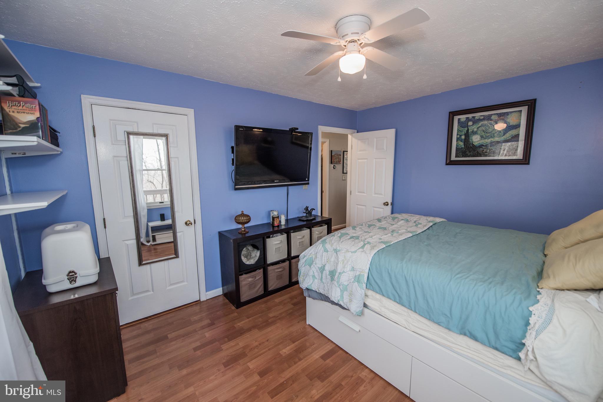 224 Doom Peak Road Linden, VA 22642 - Photo 20 of 150 BONUS PHOTO - Main Level - Bedroom #2