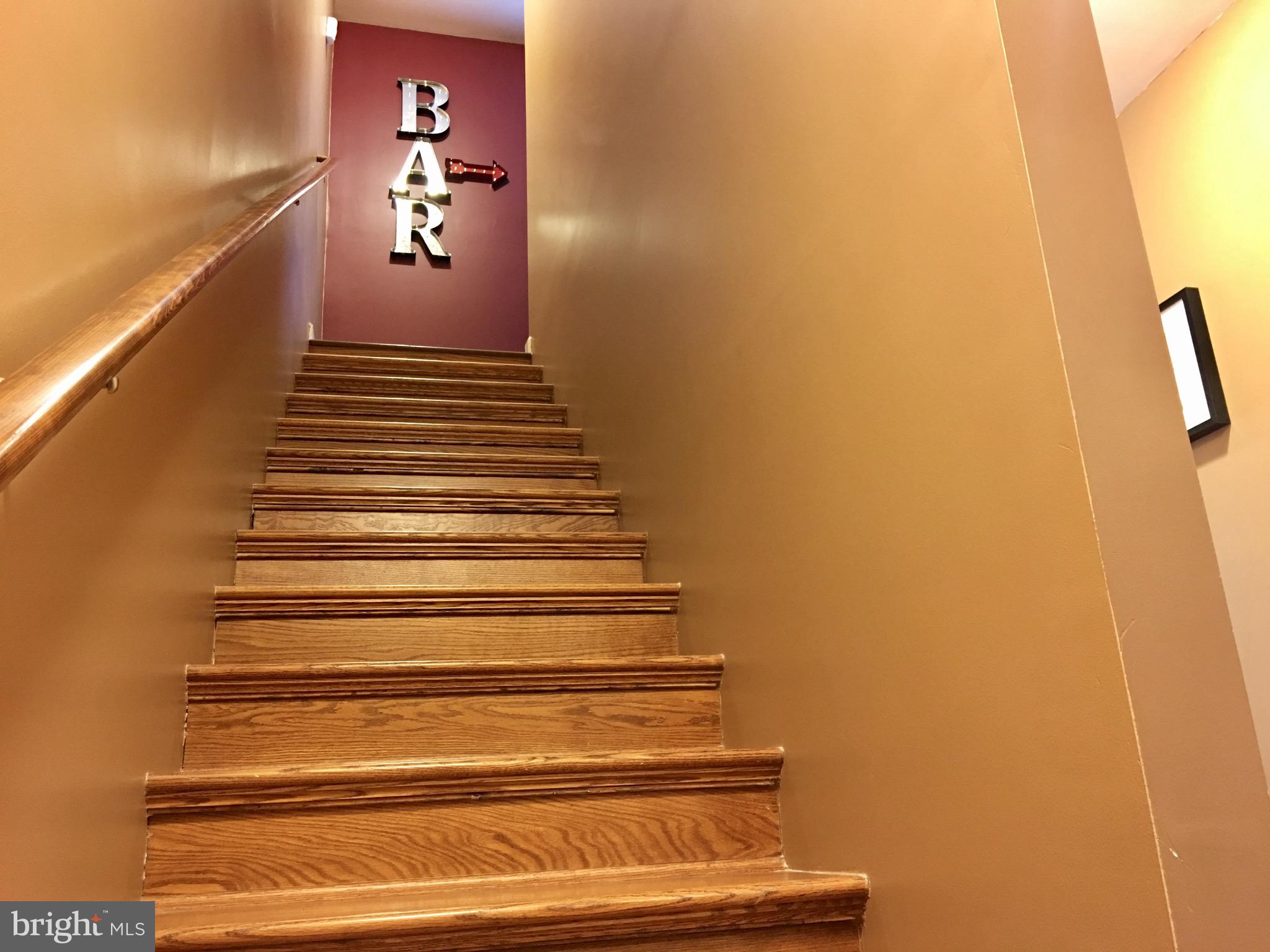 224 Doom Peak Road Linden, VA 22642 - Photo 49 of 150 BONUS PHOTO - Studio/Theater/Bar - Stairs to Bar
