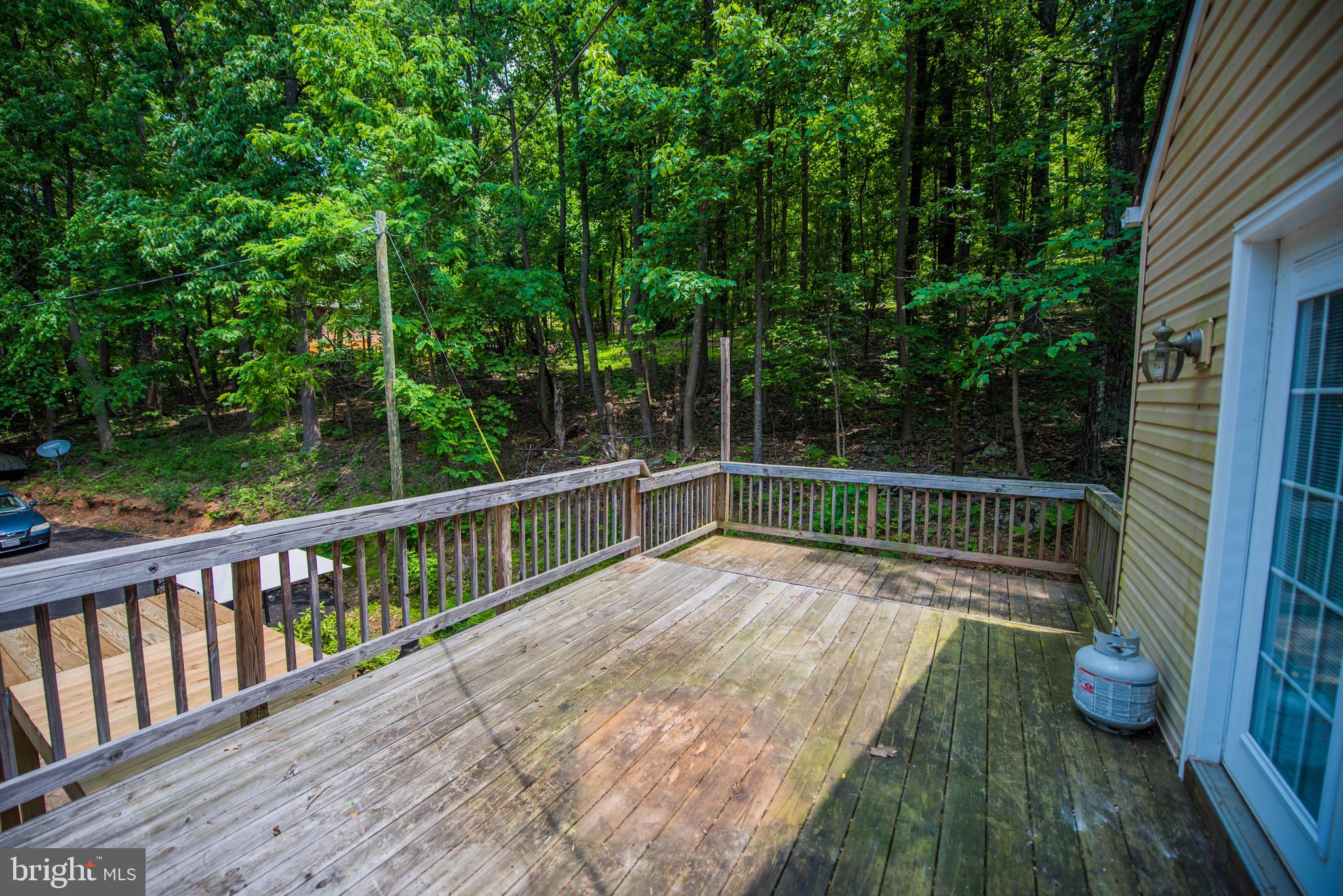 224 Doom Peak Road Linden, VA 22642 - Photo 63 of 150