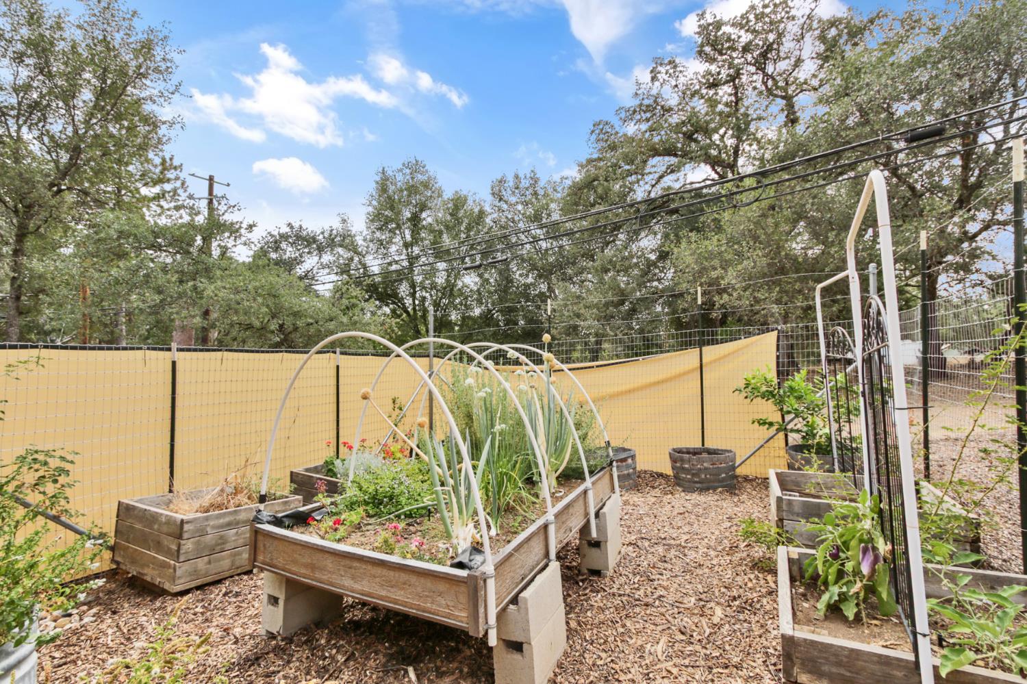 3671 Coon Hollow Road Placerville, CA 95667 - Photo 41 of 57 Gallery Image 41