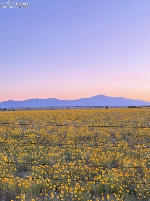 3680 Slocum Road Peyton, CO 80831 - Photo 21 of 22