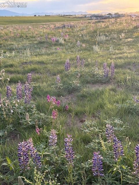 3680 Slocum Road Peyton, CO 80831 - Photo 22 of 22