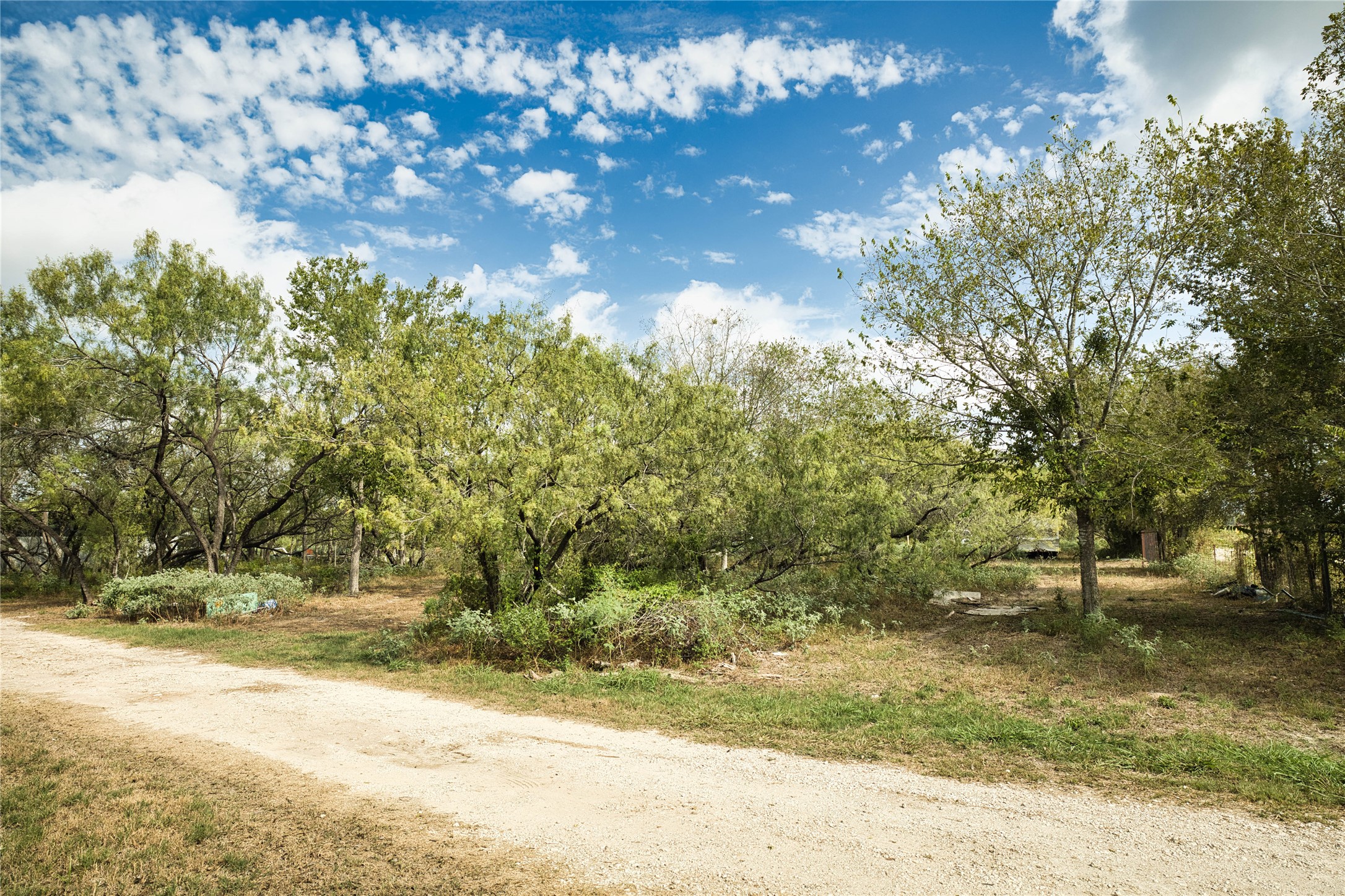 2900 Salt Flat Road Luling, TX 78648 - Photo 8 of 17 Mature trees frame a winding unpaved path under a bright, cloud-filled sky.