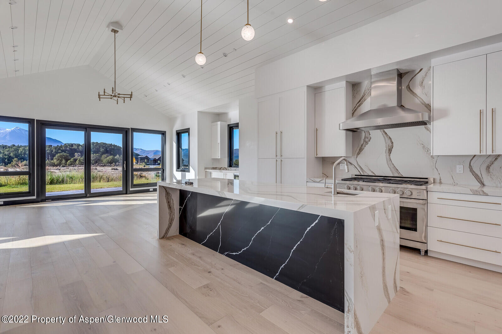 1093 Callicotte Ranch Road Carbondale, CO 81623 - Photo 13 of 27 a large kitchen with stainless steel appliances a stove a sink dishwasher and white cabinets with wooden floor