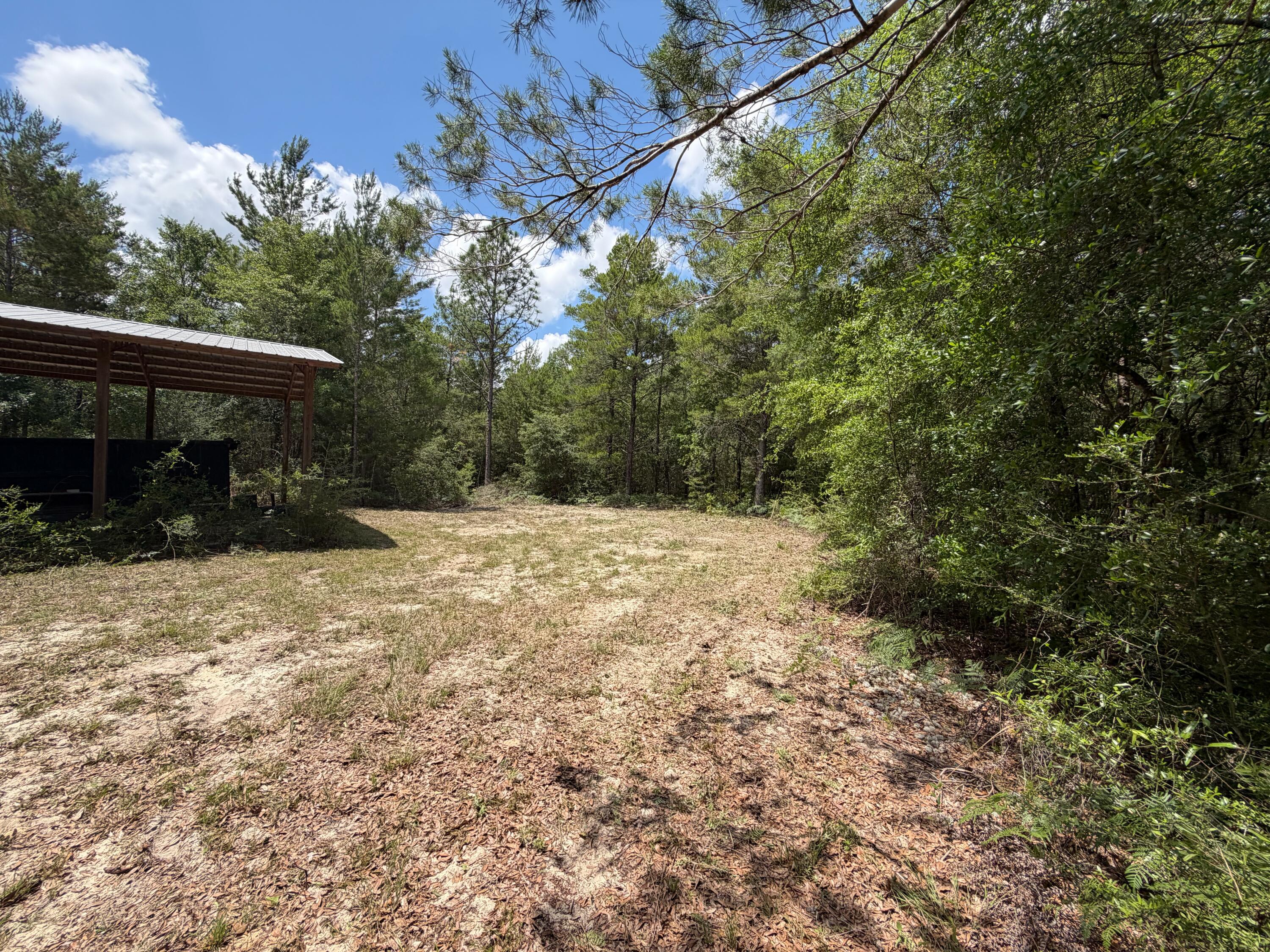 0 Laird Road Crestview, FL 32539 - Photo 17 of 59 IMG_0691