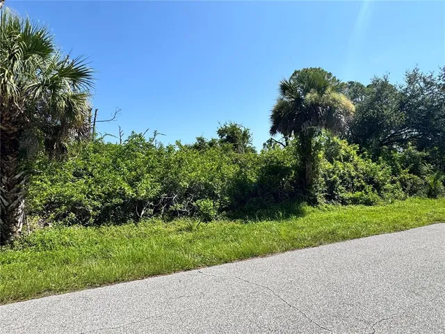 a view of a garden with a tree