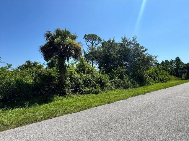 a view of a field with a tree in the background
