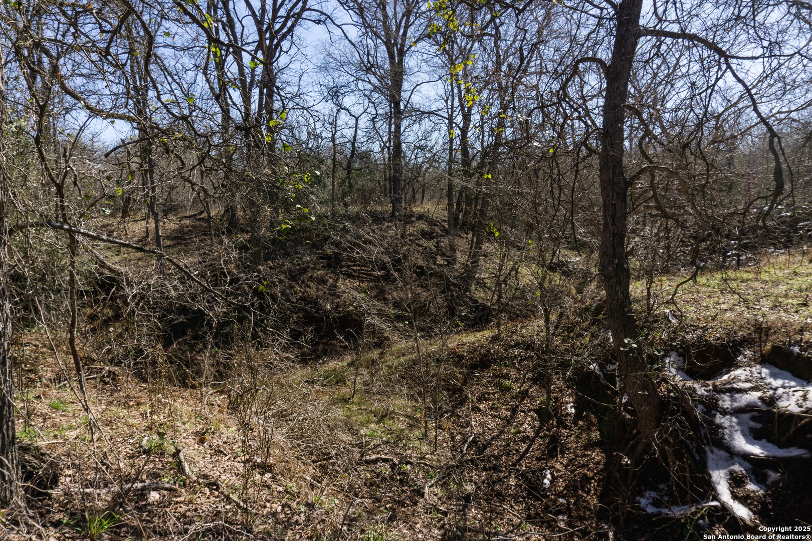 565 Marrou Road Seguin, TX 78155 - Photo 16 of 24 a view of a covered with green space