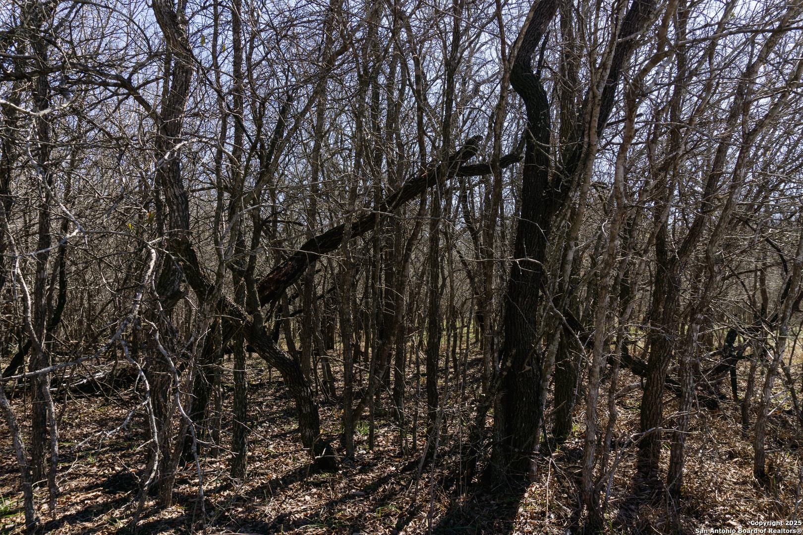 565 Marrou Road Seguin, TX 78155 - Photo 21 of 24