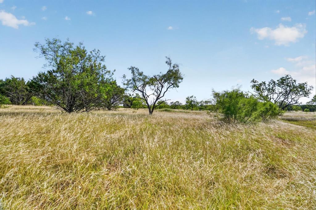 Lot 30 Tbd Bigfoot Road Strawn, TX 76475 - Photo 7 of 38