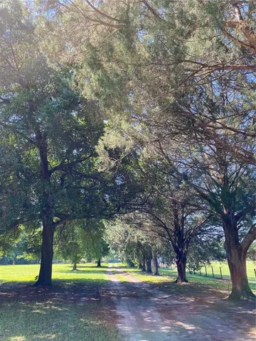 a view of outdoor space with swimming pool and trees