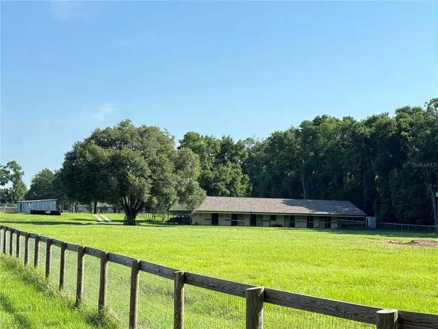 a view of park with large trees