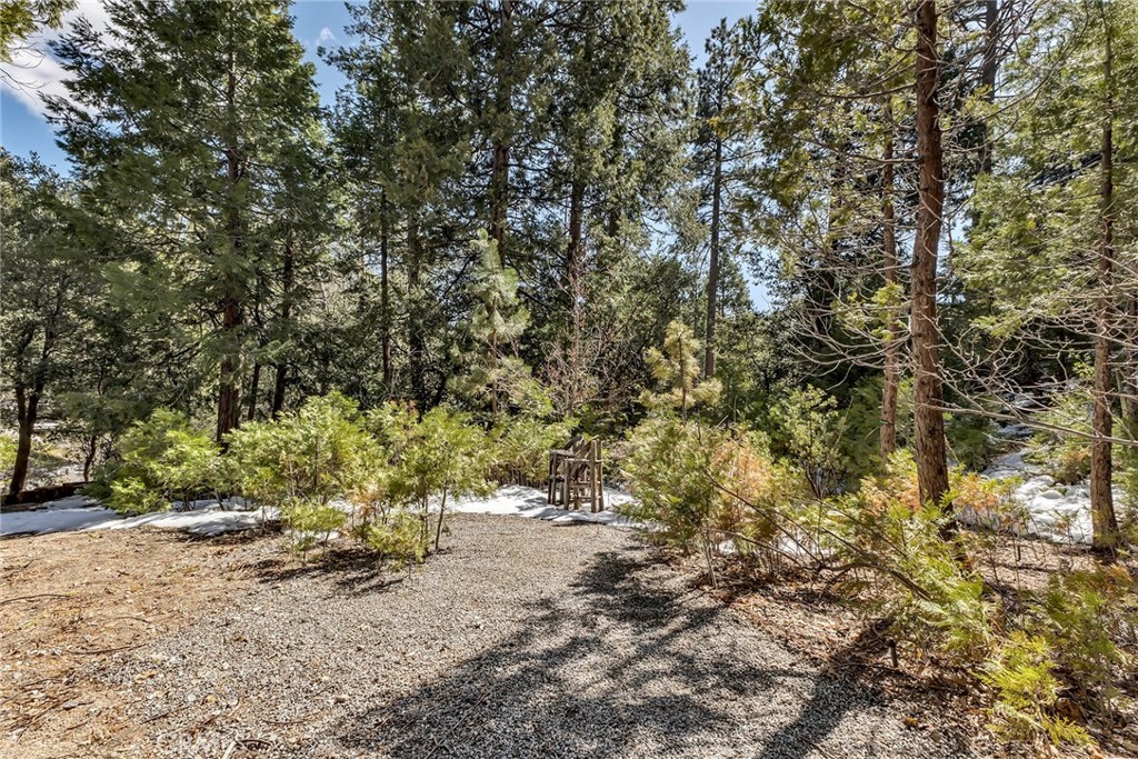 25300 Pine Crest Avenue Idyllwild, CA 92549 - Photo 58 of 75 Forested Property