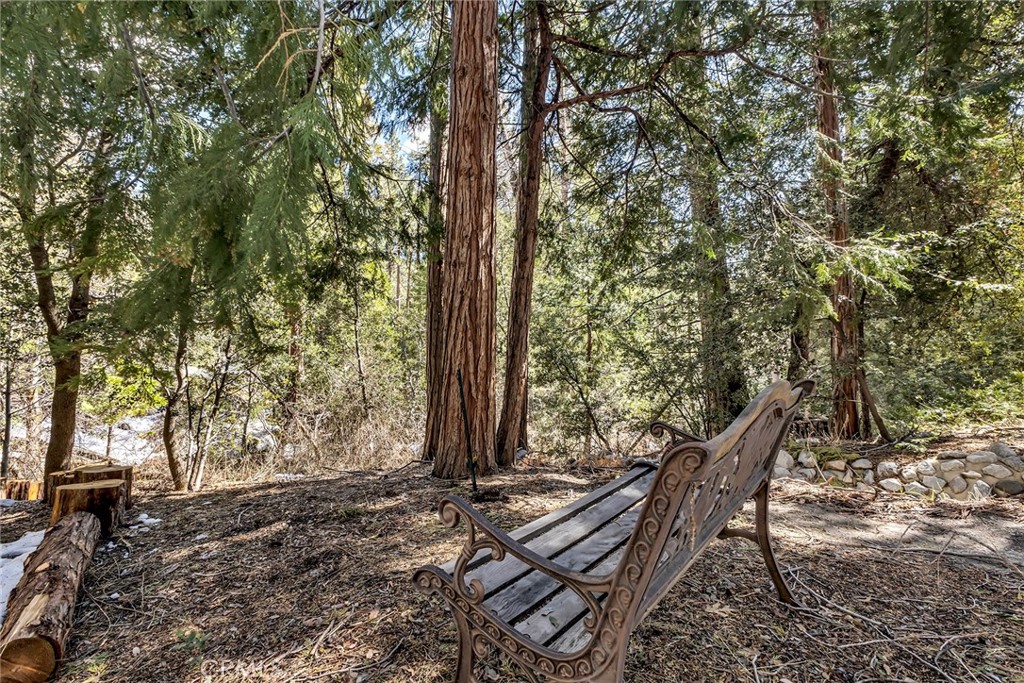 25300 Pine Crest Avenue Idyllwild, CA 92549 - Photo 60 of 75 Cozy bench near the creek.