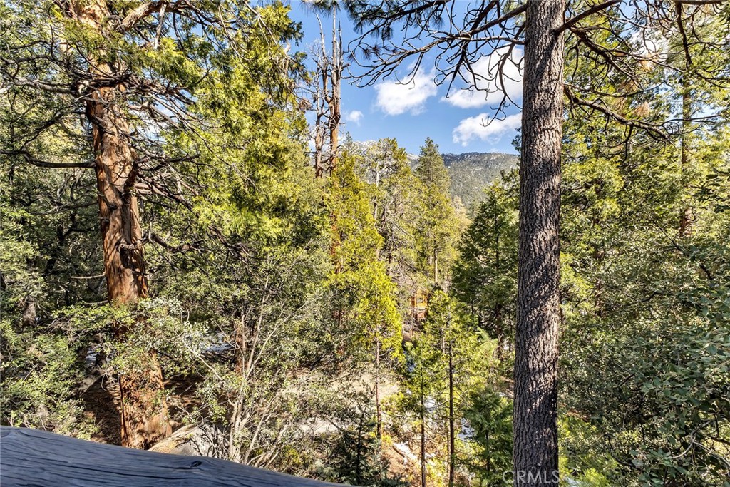 25300 Pine Crest Avenue Idyllwild, CA 92549 - Photo 64 of 75