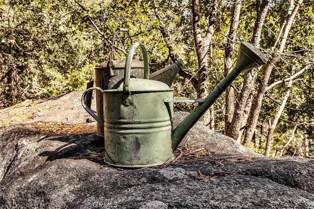 25300 Pine Crest Avenue Idyllwild, CA 92549 - Photo 70 of 75