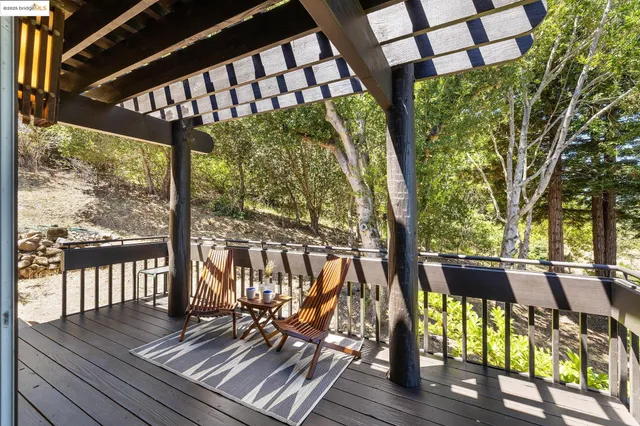 a view of a potted plants on a patio