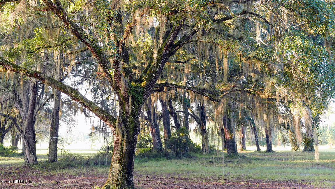 121 Split Oak Road St. Augustine, FL 32092 - Photo 4 of 17 L1020796