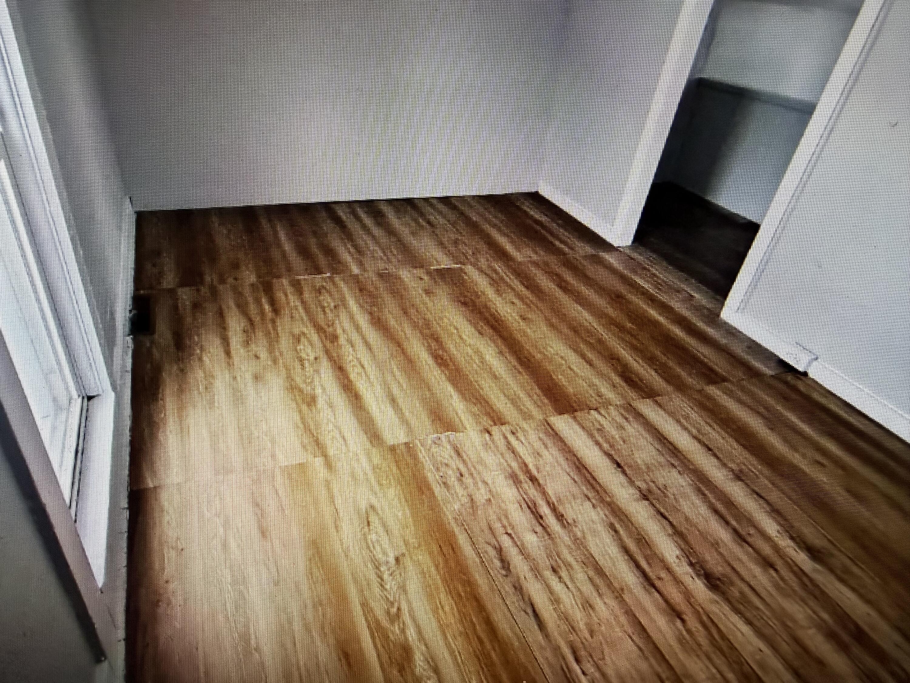 29 Broughton Street Quincy, MI 49082 - Photo 13 of 17 IMG_1045