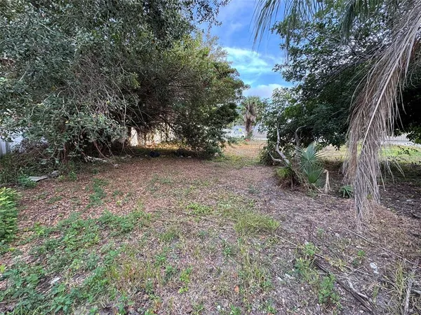 a view of a backyard with large trees