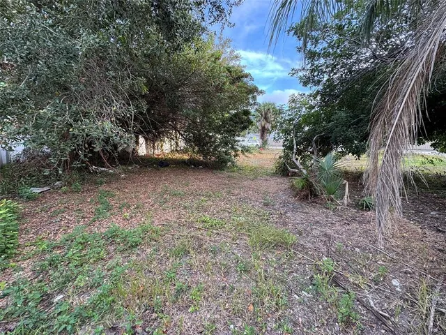 a view of a backyard with large trees