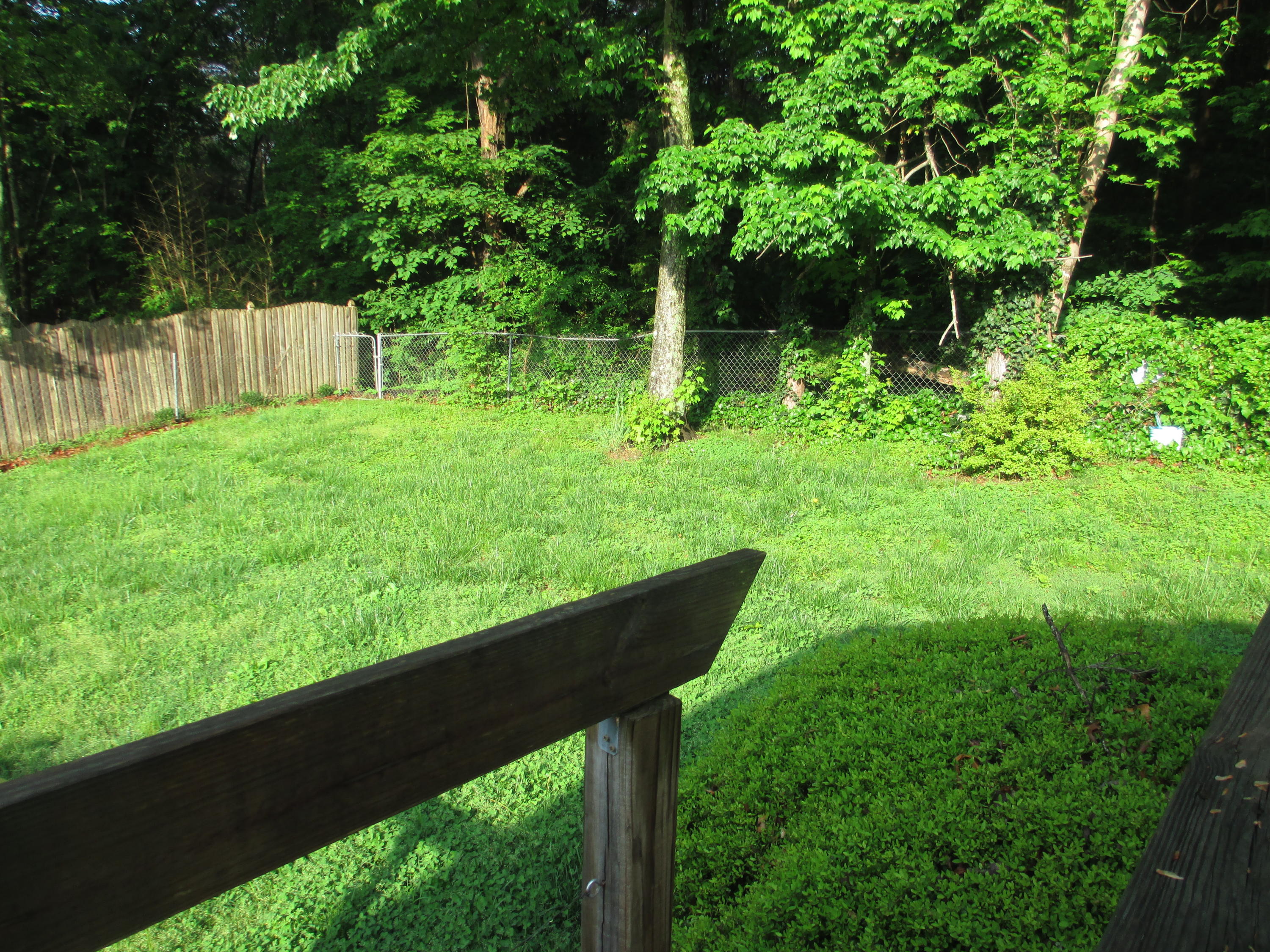1111 Rain Tree Road Knoxville, TN 37923 - Photo 8 of 14 2016-04-28 20.51.44